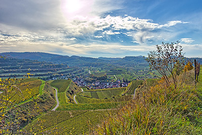 Weinanbaugebiet Kaiserstuhl