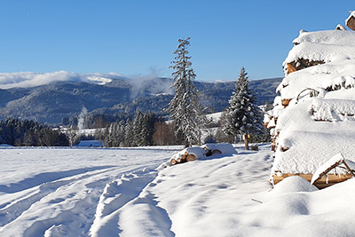 Winter im Schwarzwald