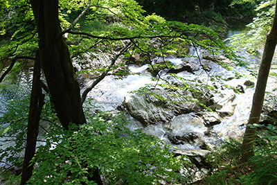 Idyllischer Schwarzwald