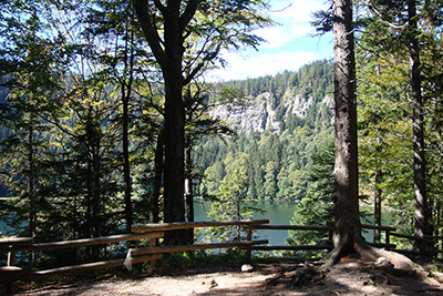 Feldsee im Schwarzwald