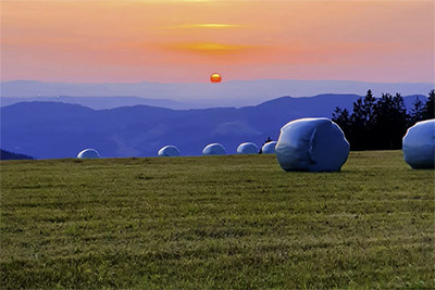 Blaue Stunde im Schwarzwald
